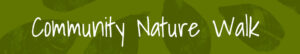 Read more about the article Community Nature Walk Tuesday Feb 27th